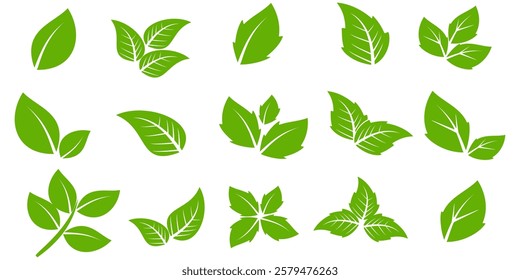 Green leaf icon in flat style, on white background. leaf icon set. nature icon, leaf vector illustration.