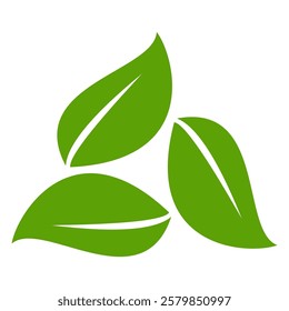 Green leaf icon in flat style, on white background. leaf icon set. nature icon, leaf vector illustration.