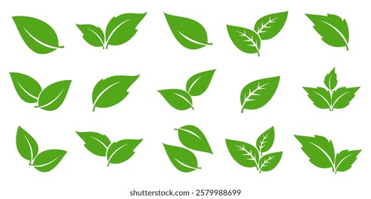 Green leaf icon in flat style, on white background. leaf icon set. nature icon, leaf vector illustration.