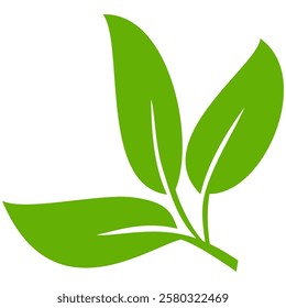 Green leaf icon in flat style, on white background. leaf icon set. nature icon, leaf vector illustration.