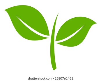 Green leaf icon in flat style, on white background. leaf icon set. nature icon, leaf vector illustration.