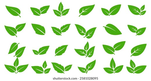 Green leaf icon in flat style, on white background. leaf icon set. nature icon, leaf vector illustration.