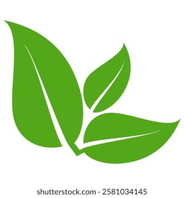 Green leaf icon in flat style, on white background. leaf icon set. nature icon, leaf vector illustration.