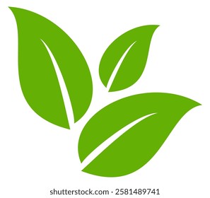 Green leaf icon in flat style, on white background. leaf icon set. nature icon, leaf vector illustration.