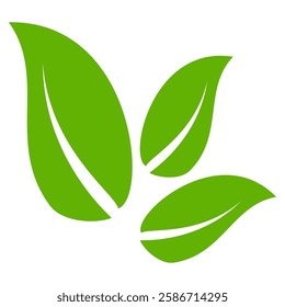Green leaf icon in flat style, on white background. leaf icon set. nature icon, leaf vector illustration.