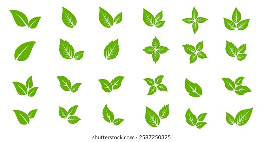 Green leaf icon in flat style, on white background. leaf icon set. nature icon, leaf vector illustration.