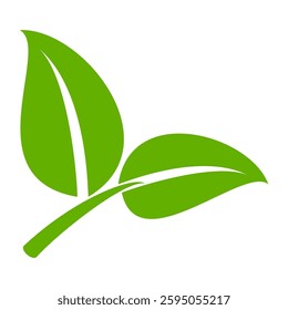 Green leaf icon in flat style, on white background. leaf icon set. nature icon, leaf vector illustration