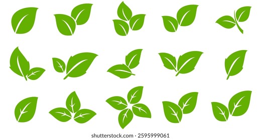 Green leaf icon in flat style, on white background. leaf icon set. nature icon, leaf vector illustration.