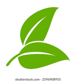Green leaf icon in flat style, on white background. leaf icon set. nature icon, leaf vector illustration