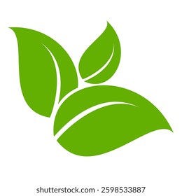 Green leaf icon in flat style, on white background. leaf icon set. nature icon, leaf vector illustration.