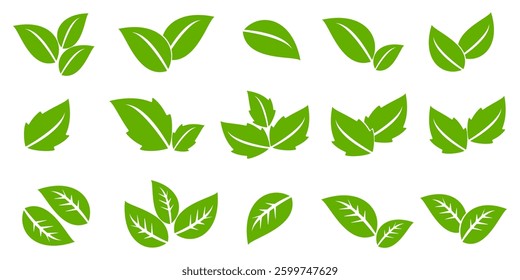 Green leaf icon in flat style, on white background. leaf icon set. nature icon, leaf vector illustration.