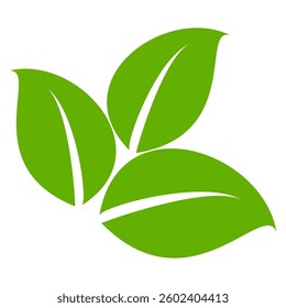 Green leaf icon in flat style, on white background. leaf icon set. nature icon, leaf vector illustration.