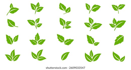 Green leaf icon in flat style, on white background. leaf icon set. nature icon, leaf vector illustration.