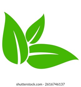 Green leaf icon in flat style, on white background. leaf icon set. nature icon, leaf vector illustration.