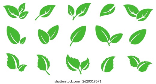 Green leaf icon in flat style, on white background. leaf icon set. nature icon, leaf vector illustration.