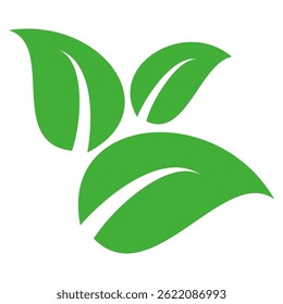 Green leaf icon in flat style, on white background. leaf icon set. nature icon, leaf vector illustration.
