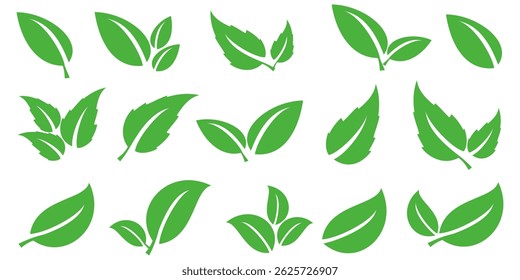 Green leaf icon in flat style, on white background. leaf icon set. nature icon, leaf vector illustration.