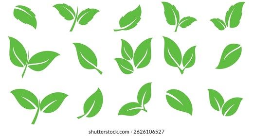 Green leaf icon in flat style, on white background. leaf icon set. nature icon, leaf vector illustration.