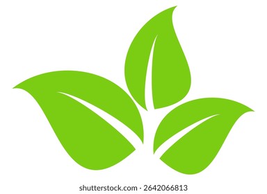 Green leaf icon in flat style, on white background. leaf icon set. nature icon, leaf vector illustration.