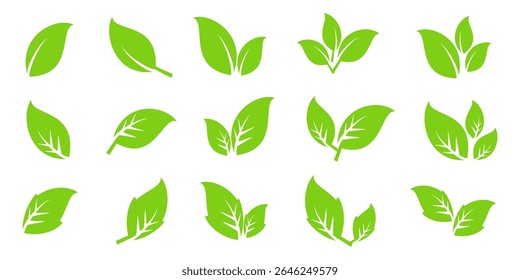 Green leaf icon in flat style, on white background. leaf icon set. nature icon, leaf vector illustration.
