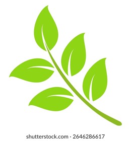 Green leaf icon in flat style, on white background. leaf icon set. nature icon, leaf vector illustration.