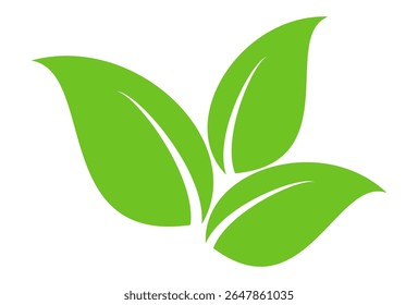 Green leaf icon in flat style, on white background. leaf icon set. nature icon, leaf vector illustration.
