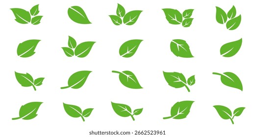 Green leaf icon in flat style, on white background. leaf icon set. nature icon, leaf vector illustration.