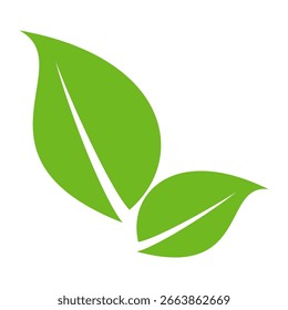 Green leaf icon in flat style, on white background. leaf icon set. nature icon, leaf vector illustration.