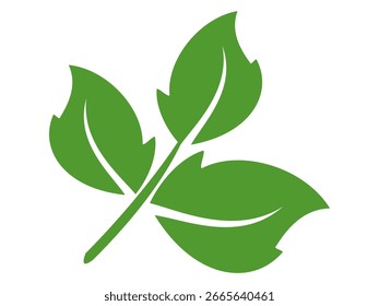 Icono de hoja verde en estilo plano, sobre fondo blanco. conjunto de iconos de hoja. icono de la naturaleza, Ilustración vectorial de la hoja.
