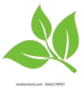 Green leaf icon in flat style, on white background. leaf icon set. nature icon, leaf vector illustration.