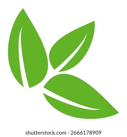 Green leaf icon in flat style, on white background. leaf icon set. nature icon, leaf vector illustration.