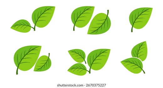 Green leaf icon in flat style, on white background. leaf icon set. nature icon, leaf vector illustration.