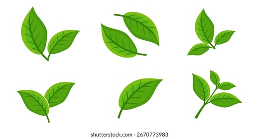 Icono de hoja verde en estilo plano, sobre fondo blanco. conjunto de iconos de hoja. icono de la naturaleza, Ilustración vectorial de la hoja.