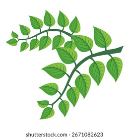 Ícone de folha verde em estilo plano, sobre fundo branco. ícone de folha definido. ícone natureza, ilustração de vetor folha.
