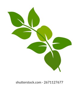 Icono de hoja verde en estilo plano, sobre fondo blanco. conjunto de iconos de hoja. icono de la naturaleza, Ilustración vectorial de la hoja.
