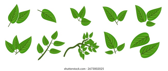 Ícone de folha verde em estilo plano, sobre fundo branco. ícone de folha definido. ícone natureza, ilustração de vetor folha.