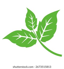 Icono de hoja verde en estilo plano, sobre fondo blanco. conjunto de iconos de hoja. icono de la naturaleza, Ilustración vectorial de la hoja.