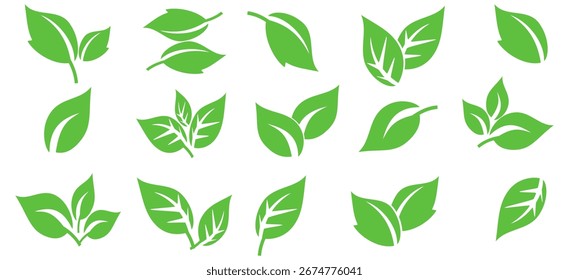 Green leaf icon in flat style, on white background. leaf icon set. nature icon, leaf vector illustration.