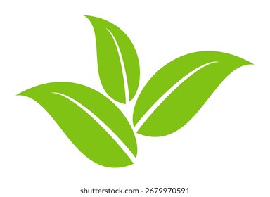 Green leaf icon in flat style, on white background. leaf icon set. nature icon, leaf vector illustration.