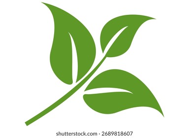 Green leaf icon in flat style, on white background. leaf icon set. nature icon, leaf vector illustration.