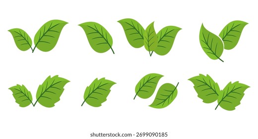 Grünes Blattsymbol im flachen Stil auf weißem Hintergrund. Blatt-Symbolsatz. Natursymbol, Blatt-Vektorgrafik.