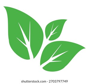 Ícone de folha verde em estilo plano, sobre fundo branco. ícone de folha definido. ícone natureza, ilustração de vetor folha.