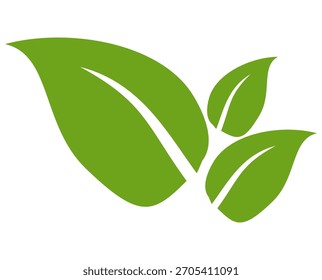 Green leaf icon in flat style, on white background. leaf icon set. nature icon, leaf vector illustration.
