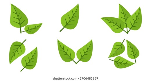 Grünes Blattsymbol im flachen Stil auf weißem Hintergrund. Blatt-Symbolsatz. Natursymbol, Blatt-Vektorgrafik.
