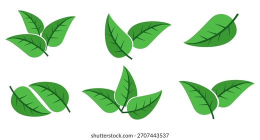 Grünes Blattsymbol im flachen Stil auf weißem Hintergrund. Blatt-Symbolsatz. Natursymbol, Blatt-Vektorgrafik.