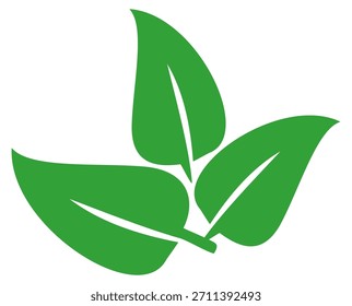 Green leaf icon in flat style, on white background. leaf icon set. nature icon, leaf vector illustration.