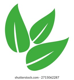 Green leaf icon in flat style, on white background. leaf icon set. nature icon, leaf vector illustration.