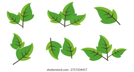 Ícone de folha verde em estilo plano, sobre fundo branco. ícone de folha definido. ícone natureza, ilustração de vetor folha.