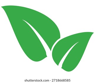 Green leaf icon in flat style, on white background. leaf icon set. nature icon, leaf vector illustration.