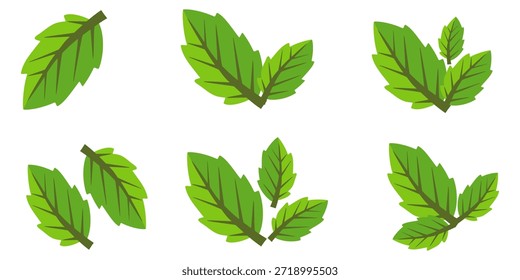 Ícone de folha verde em estilo plano, sobre fundo branco. ícone de folha definido. ícone natureza, ilustração de vetor folha.